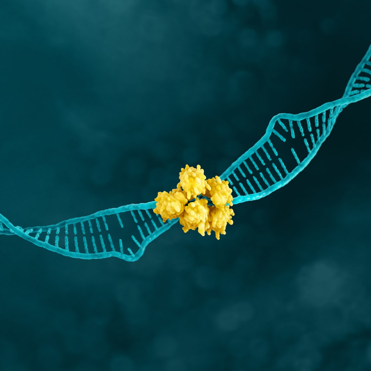 MSI gastric cancer biomarker.